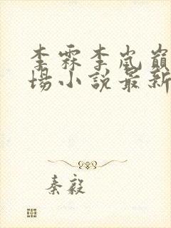 李霖李岚巅峰官场小说最新章节更新