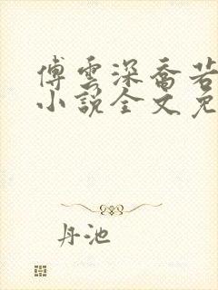 傅云深乔若桑的小说全文免费阅读
