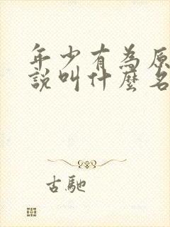 年少有为原著小说叫什么名字封面