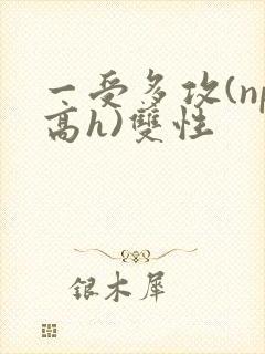 一受多攻(np高h)双性