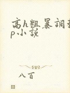高h粗暴调教np小说