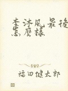 李沐风最后结局怎么样