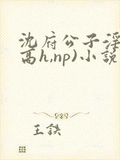 沈府公子淫史(高h,np)小说封面