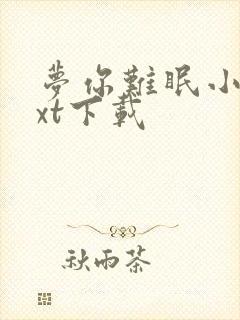 梦你难眠小说txt下载