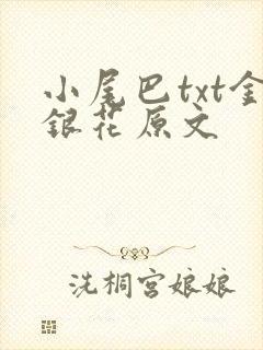 小尾巴txt金银花原文