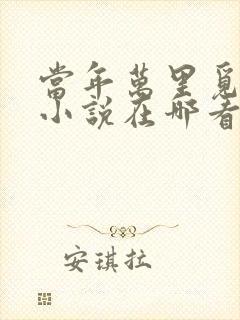 当年万里觅封侯小说在哪看封面