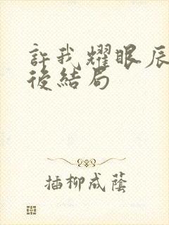 许我耀眼辰辰最后结局