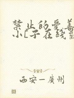 禁止的爱善良的小[子在线观看完整韩剧