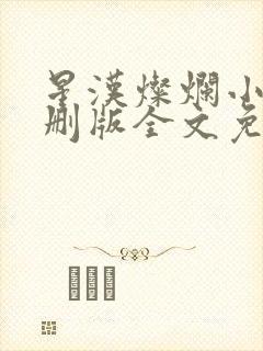 星汉灿烂小说未删版全文免费阅读封面