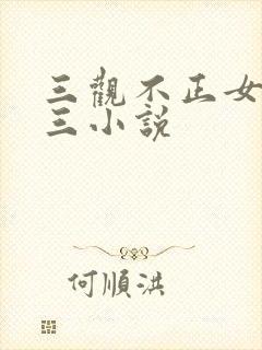 三观不正女主小三小说封面