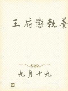王府惩教养日常