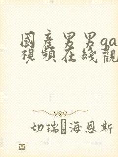 国产男男gay视频在线观看