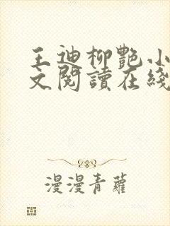 王迪柳艳小说全文阅读在线