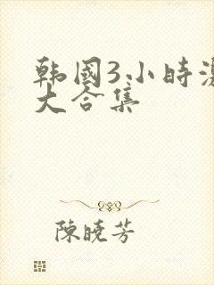 韩国3小时激情大合集