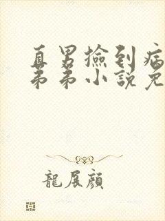 直男捡到病娇的弟弟小说免费阅读