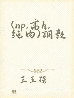 (np,高h,纯肉)调教