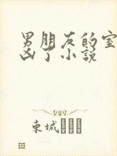 男朋友的室友太凶了小说封面