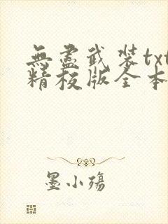 无尽武装txt精校版全本
