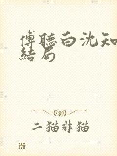 傅听白沈知意大结局