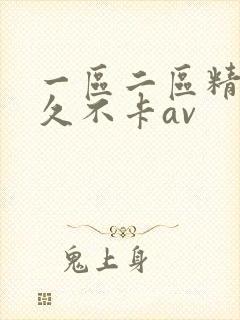 一区二区精品久久不卡av封面