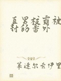 直男校霸被强制封的番外