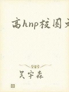 高hnp校园文