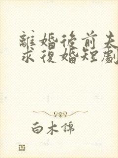 离婚后前夫哭着求复婚短剧演员表封面