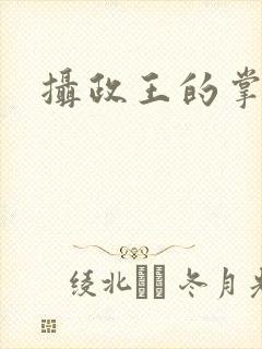 摄政王的掌心宠
