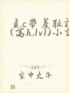 贞c带羞耻调教(高h,1v1)小说