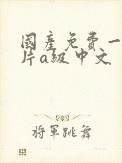 国产免费一级淫片a级中文