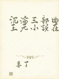 沉沦三部曲陈洁王元小说在线阅读封面