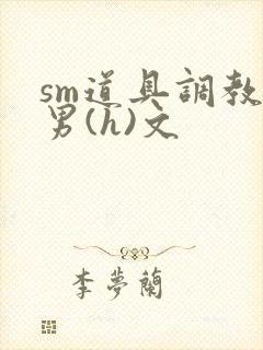 sm道具调教男男(h)文封面