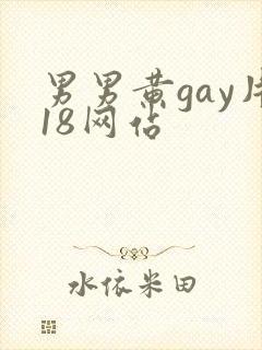 男男黄gay片18网站