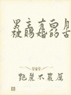 男主有白月光但被赐婚的古言