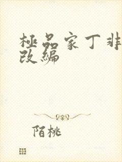 极品家丁非绿版改编