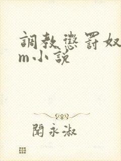 调教惩罚奴隶sm小说