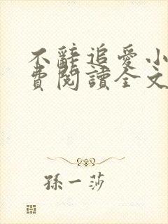不辞追爱小说免费阅读全文最新章节封面
