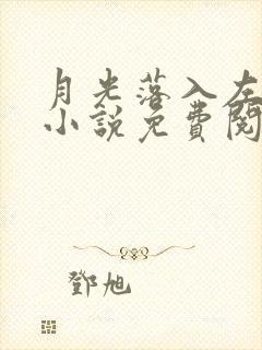 月光落入左手心小说免费阅读