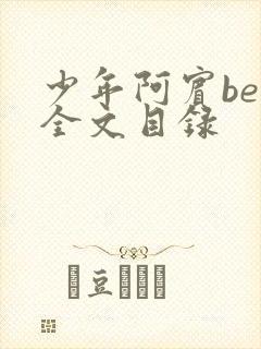 少年阿宾ben全文目录封面