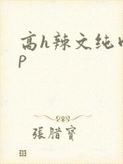 高h辣文纯肉np