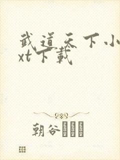 武道天下小说txt下载