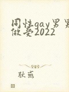 同性gay男男做受2022