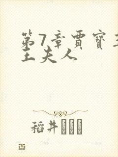 第7章贾宝玉上王夫人