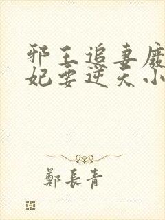 邪王追妻废材狂妃要逆天小说封面
