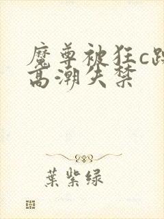 魔尊被狂c躁到高潮失禁