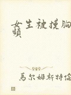 女生被摸胸的视频