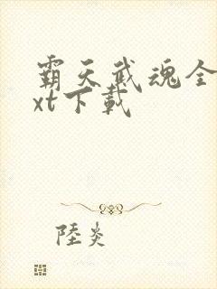 霸天武魂全本txt下载
