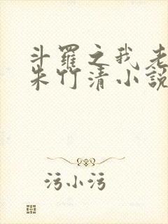 斗罗之我老婆是朱竹清小说
