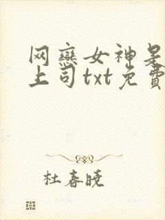 网恋女神是清冷上司txt免费阅读