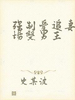 强制爱追妻火葬场双男主